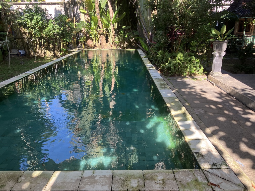 Pool and lounge area